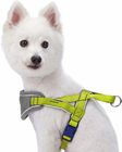 6 Sizes Option Nylon Dog Harness , Durable Neoprene Padded Dog Harness